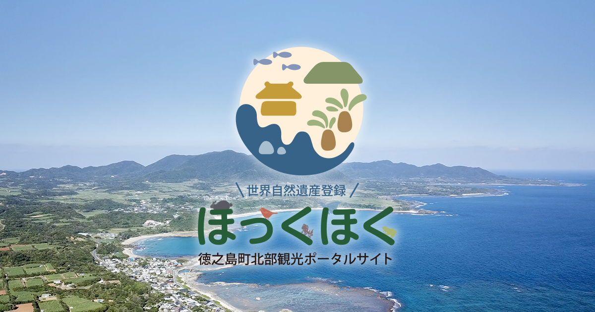 母間ちゅっきゃい節夏祭り